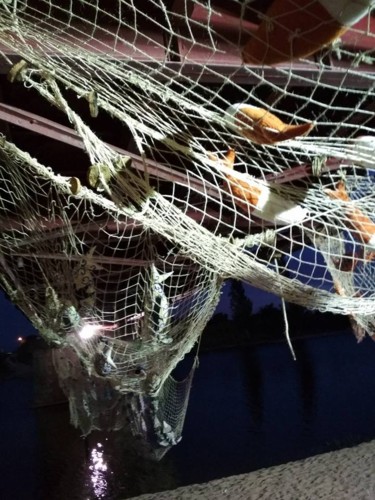 22089190_10209580684145018_4404752943563576752_n.j