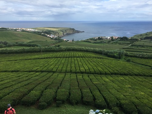 IMG_4221.JPG IMG_4221.JPG