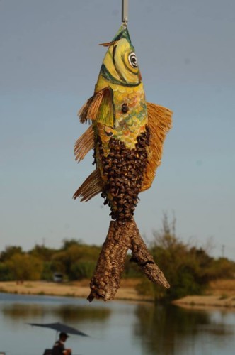 22308641_10156721567438696_3890285659575704249_n.j