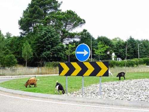 18664284_10213078777225094_1309844212725563642_n.j