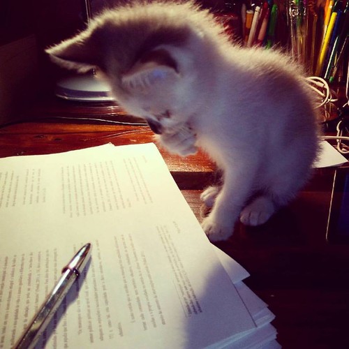 13427746_1568513926784511_6812704215407101238_n.jp