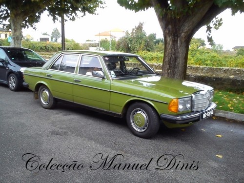 Rota do Moscatel Favaios 2015 (140).jpg