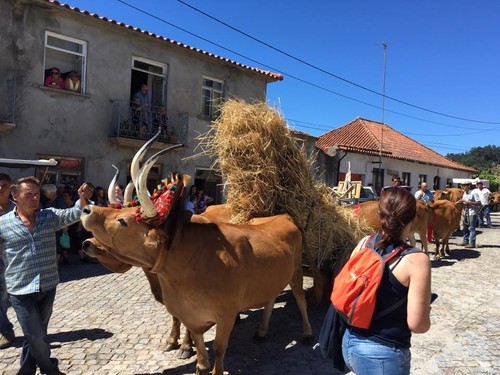 Padornelo Feira dos Tojais q.jpg Padornelo Feira dos Tojais q.jpg