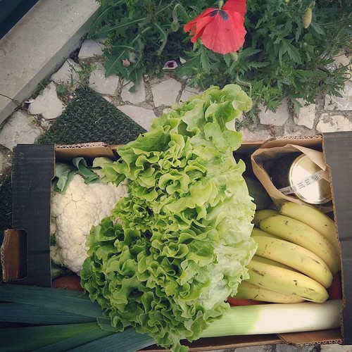 18193868_888685351271227_4304121543487997797_n.jpg 18193868_888685351271227_4304121543487997797_n.jpg