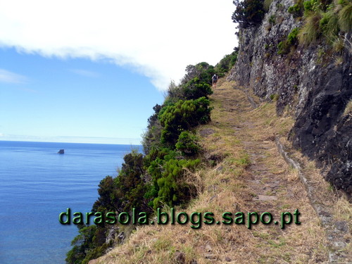 Azores_flores_faja_grande_12.JPG