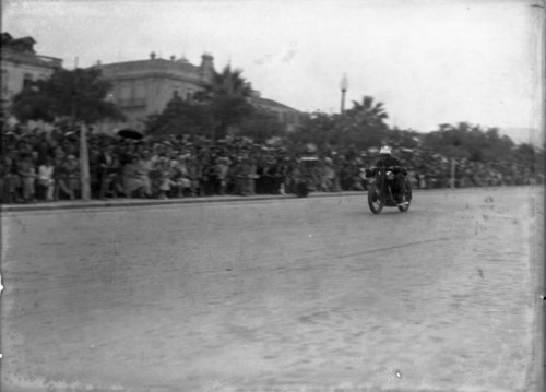 0006_M luisa todi.jpg 0006_M luisa todi.jpg