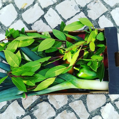 35164775_1112912305515196_5311425865567961088_n.jp