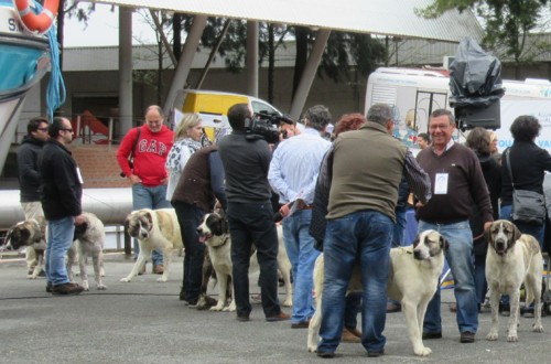 004 - Cópia.JPG 004 - Cópia.JPG