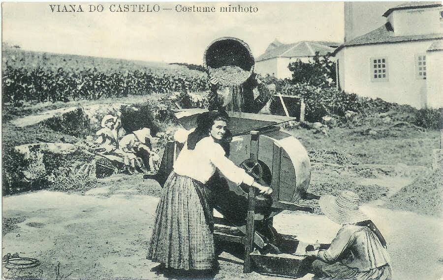 338- limpar o milho_ costume minhoto.jpg