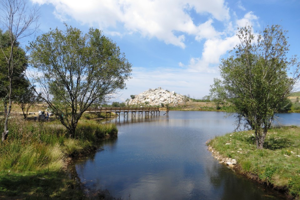 IMG_3372.JPG IMG_3372.JPG