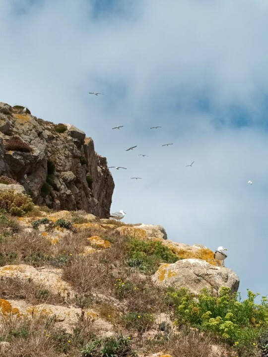 Não me canso disto_Berlengas2.jpg
