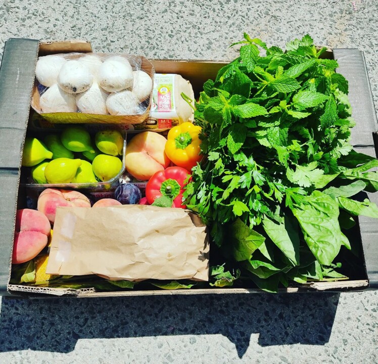 298336674_2383334235139657_439276733493786646_n.jp