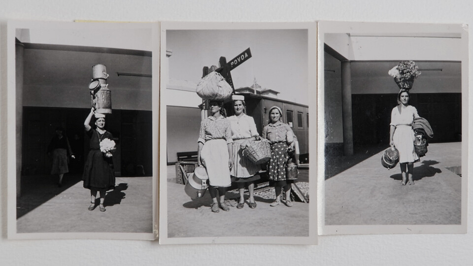 descarregar (12).jfif