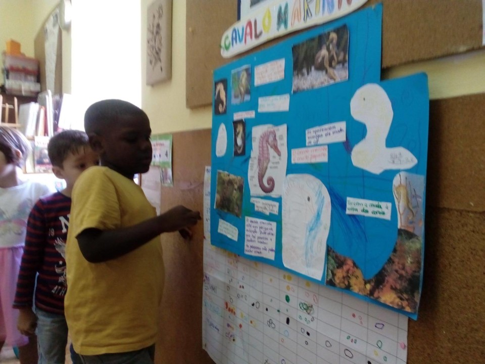 119991355_803808387049978_3142141937248823217_n.jp