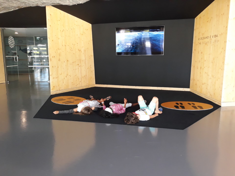 20200823_123535.jpg 20200823_123535.jpg