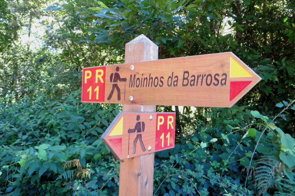 IMG_3030.JPG IMG_3030.JPG