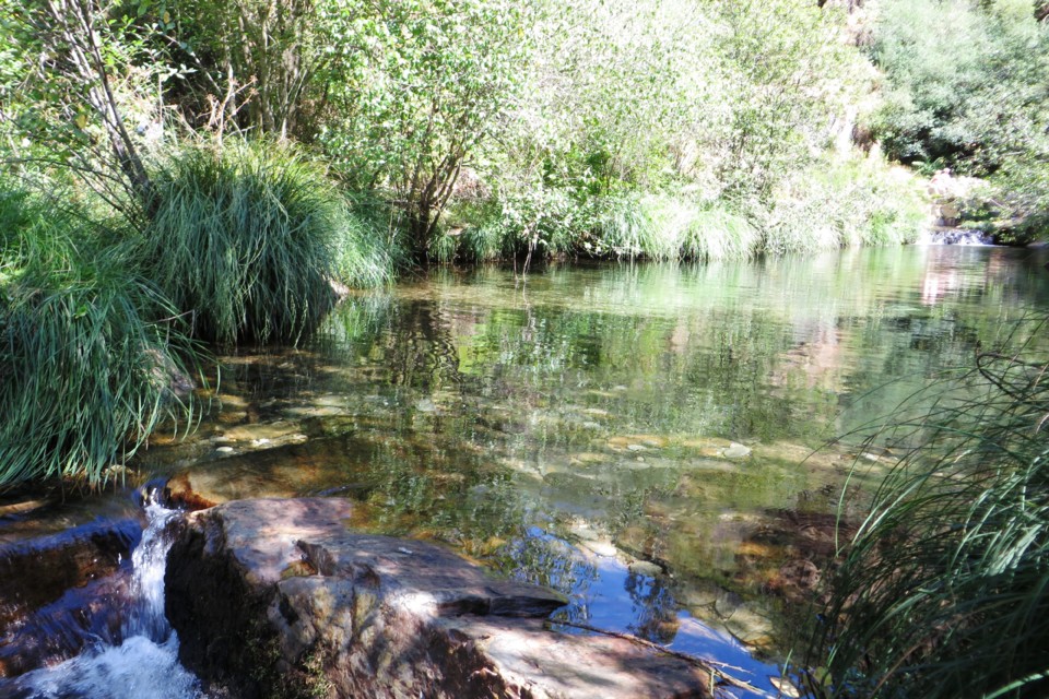 IMG_3519.JPG IMG_3519.JPG