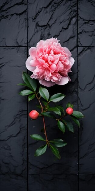 flor-de-peonia-em-folhas-verdes-contra-fundo-de-pe