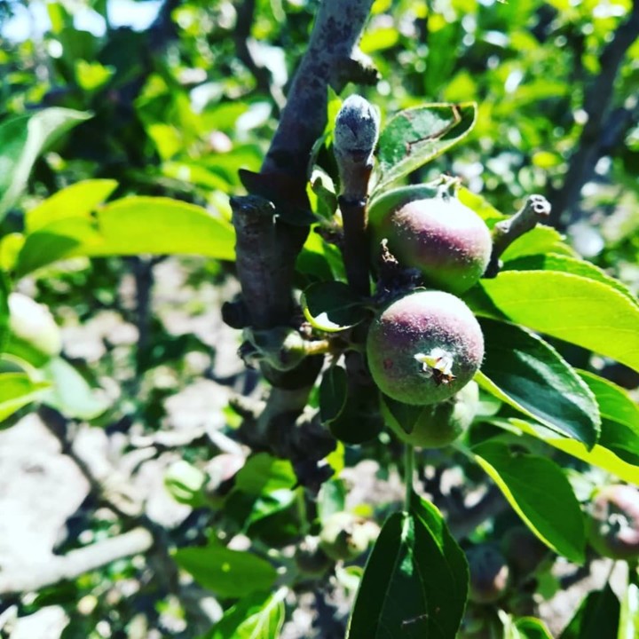 58781541_1359306834209074_3725461173785591808_n.jp