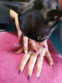 14570443_1326488980703867_8351375766908623218_n.jp 14570443_1326488980703867_8351375766908623218_n.jp