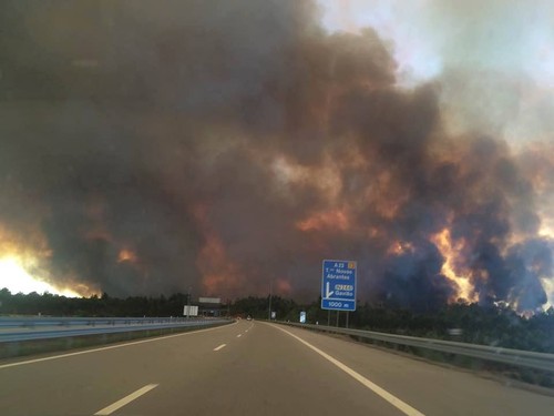 20294450_1756159444414001_7939228056446727871_n.jp