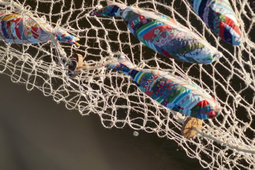 22135642_10156707203348696_5216529834374052031_o.j