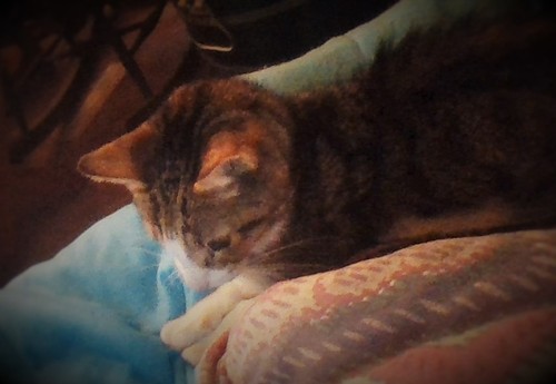 PESSOAL - WIN_20160228_172610 (2).JPG