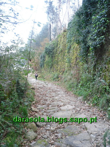 Trilho_Eiras_Famalicao_42.JPG