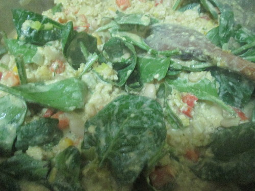 IMG_4761.JPG IMG_4761.JPG