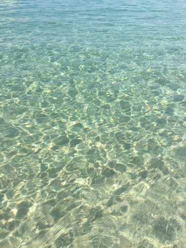 IMG_7261.JPG IMG_7261.JPG