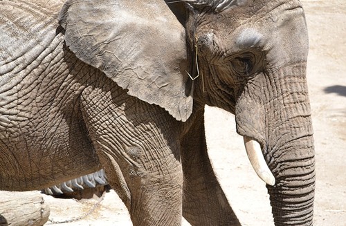 IMG_9531.PNG IMG_9531.PNG