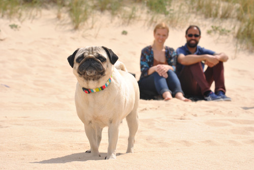 mariaDSC_1727.jpg mariaDSC_1727.jpg