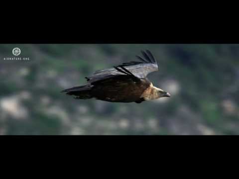 douro internacional.jpg