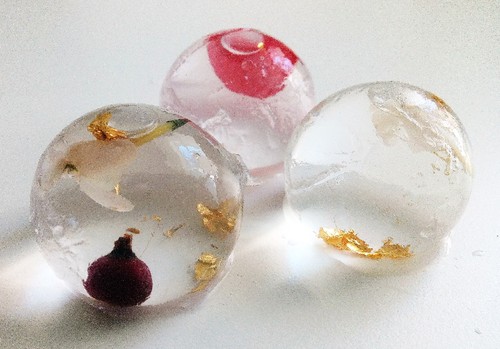 IMG_20160426_132158 (2).jpg IMG_20160426_132158 (2).jpg