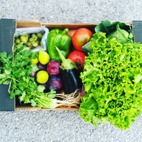 40922903_1201139760025783_1883915347724075008_n.jp 40922903_1201139760025783_1883915347724075008_n.jp