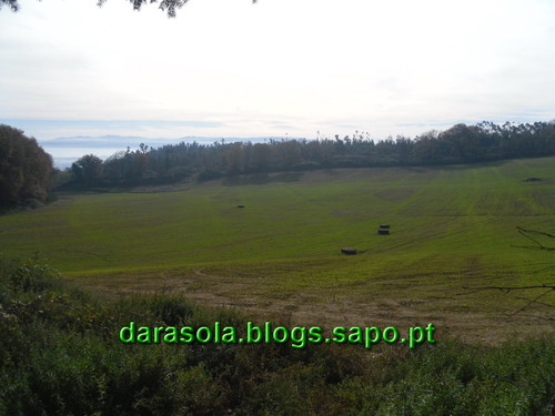 Trilho_Eiras_Famalicao_16.JPG