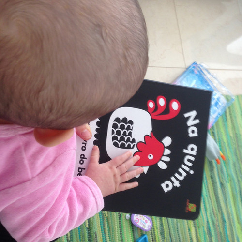 Maria e os Livros.jpg