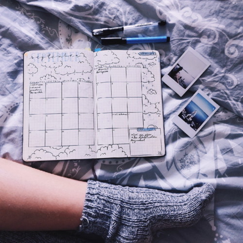 2017-09-01 08.14.02 1.jpg