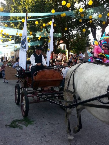 Padornelo no Cortejo Etnográfico de Paredes de Co