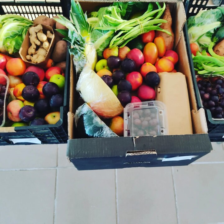 453049018_880347147456030_2717398280257380284_n.jp