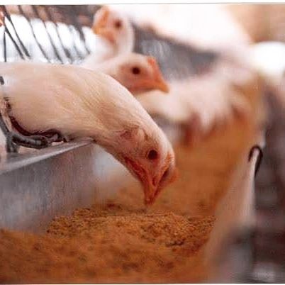 279044416_2290957961043952_8422462764157492769_n.j