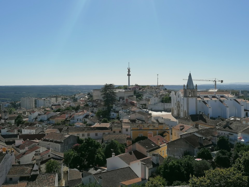 IMG_20200822_171522.jpg IMG_20200822_171522.jpg