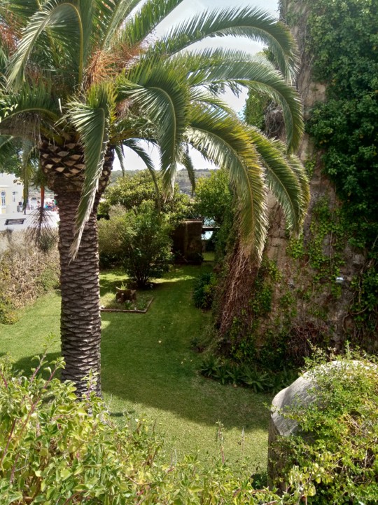 IMG_20190811_153808.jpg IMG_20190811_153808.jpg