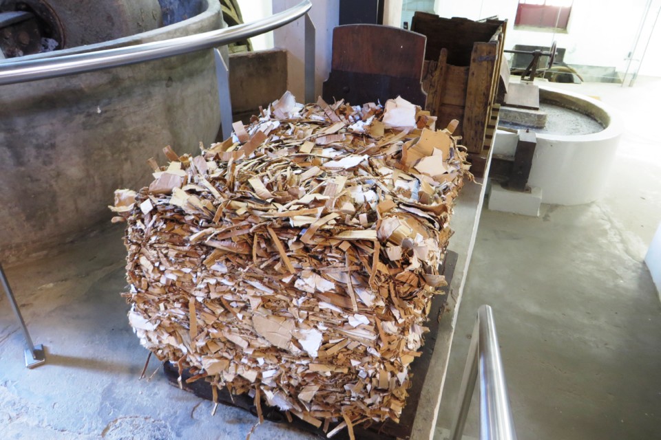 IMG_4379.JPG IMG_4379.JPG