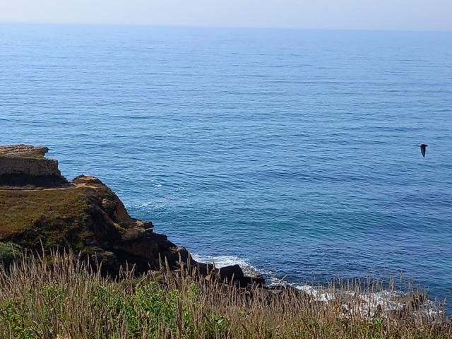 210782237_4186839408038161_536408794544448684_n.jp