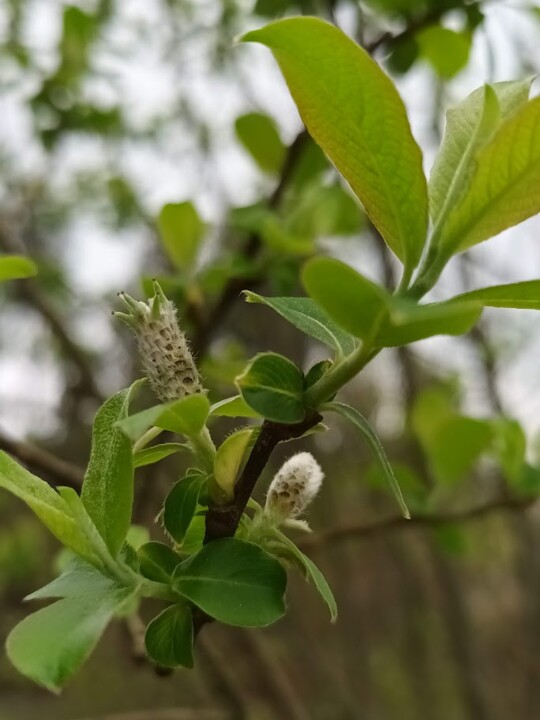 Não me canso disto_Inverno7.jpg