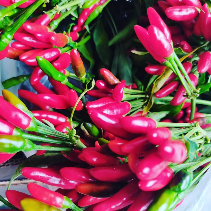 376248941_690350163122397_5319091764133182449_n.jp