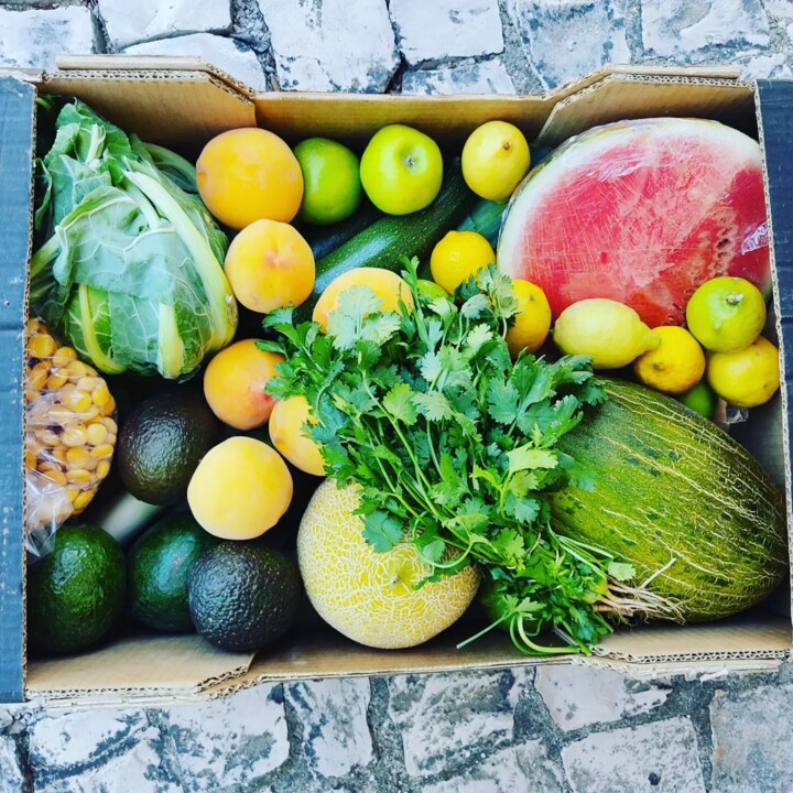 291239518_2350182255121522_4432901428476485660_n.j