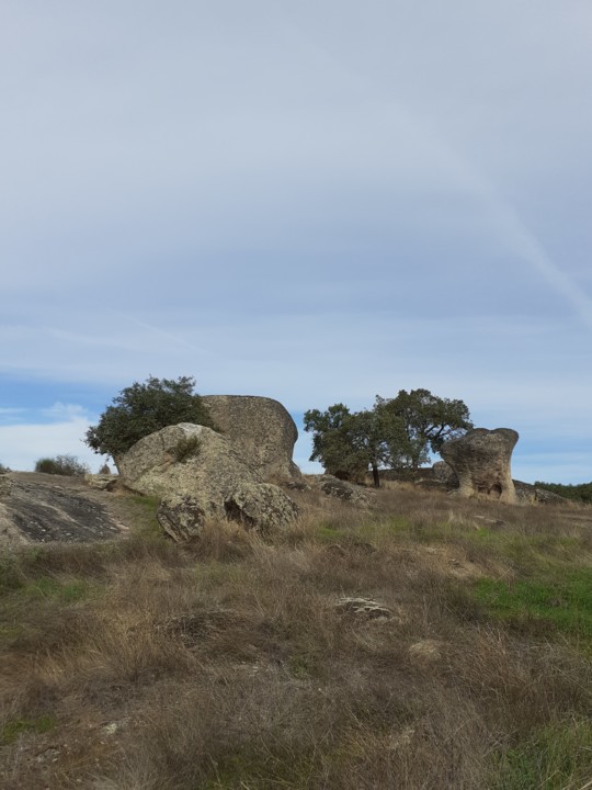 Paisagem e rochas cogumelos. Foto original. 2021.10.09.jpg
