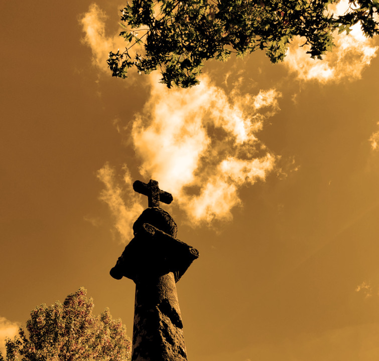 Cruz sepia blogue.jpg